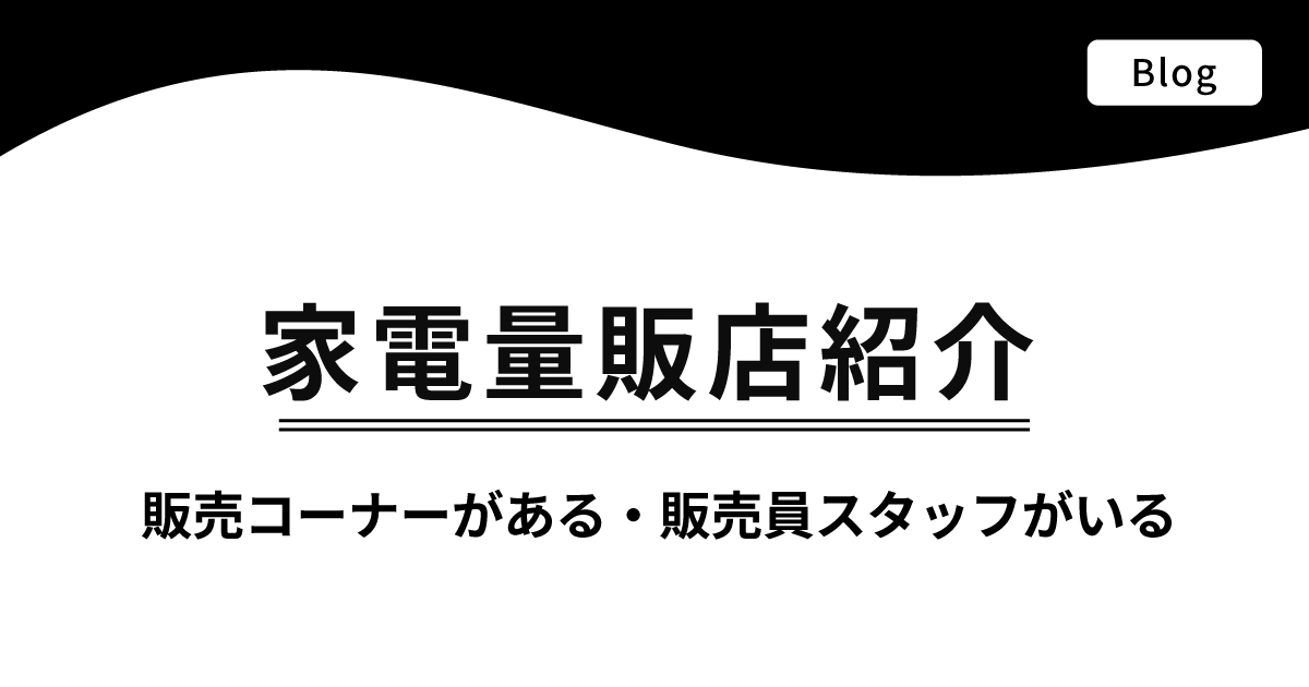 nwmスタッフから製品説明を受けられる、家電量販店